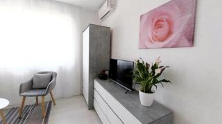 Studio M - 2