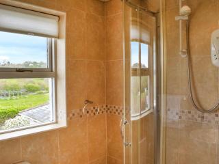 Lower Axford Cottage - Callington - 8