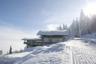 Schönblick Hohenbogen - Neukirchen beim Heiligen Blut - 9