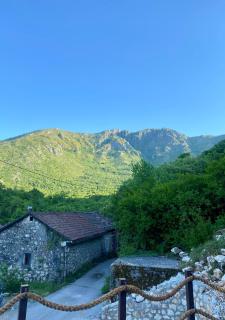 Skadar Lake House Nature Nest - 5