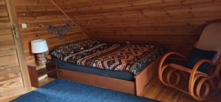 Dream Forest Cabin - wiejska chata w lesie - Varsavia - 2