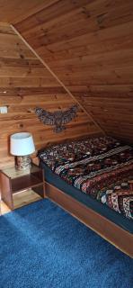 Dream Forest Cabin - wiejska chata w lesie - Varsavia - 1