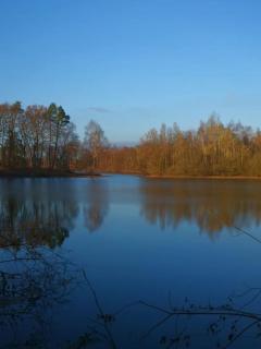 Ferienhaus mit Seeblick - Templin - 8
