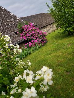 En pleine nature cantalienne et au calme village , Maison confortable et spacieuse pour 9 pers - - 6