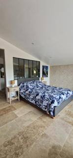 Maison dans les vignes - Les Arcs-sur-Argens - 4
