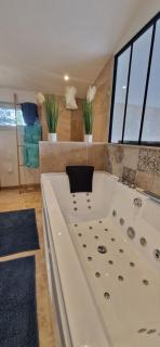 Maison dans les vignes - Les Arcs-sur-Argens - 8