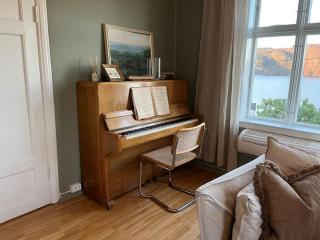 Historic Fjord-View Villa - 4