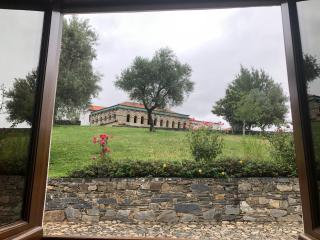 Casa do Domus - 2