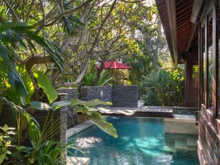 Villa Asta - Seminyak - 2