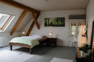 Mooshof Apartment - Münchenbuchsee - 9
