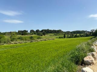 Havre de paix au sein d'un T3 d'une bastide aixoise - Aix-en-Provence - 5