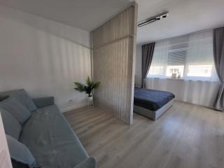 Iris cozy flat 25 - Alba Iulia - 3