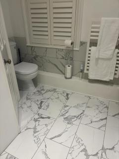 Grand Tulse Hill Villa - Londra - 5