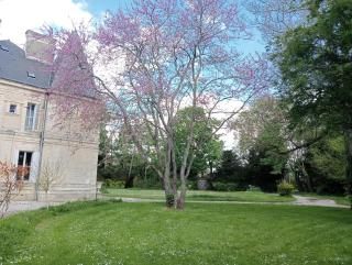Dans le Parc - 8