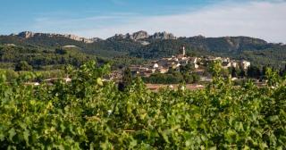 Authentique maison du 17e siècle dans propriété viticole, idéalement située - Sablet - 7