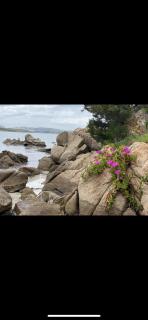 Residence Bouganville - 1