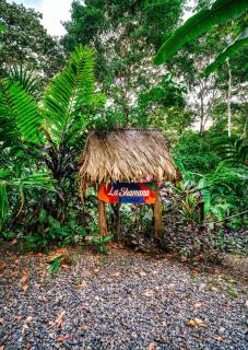 La Shamana - Ecological Concept in Jungle - Cahuita - 8