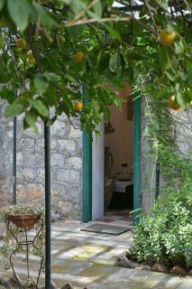 Villa Ariadne - a citrus sanctuary - Hydra - 6