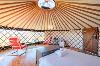 Awaawa - Rangi Yurt - Palm Beach - 5