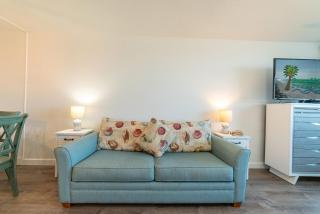 Top Of The Gulf 312 'The Tip-Sea Turtle' - 4