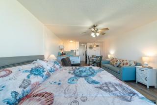 Top Of The Gulf 312 'The Tip-Sea Turtle' - 2