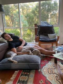 Whispering Gums - Ocean Views, Pet Friendly, EV UNIT 7kW for electric cars, Sleeps 7 - Lorne - 1