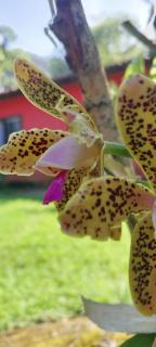 Pontanegra Casas da luh - 0