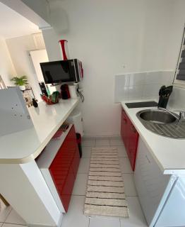 Superbe studio de standing à 800m de la mer des Caraïbes le hameau de beauregard sainte anne - 1