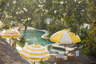 Shelter Island - Ubud - 8