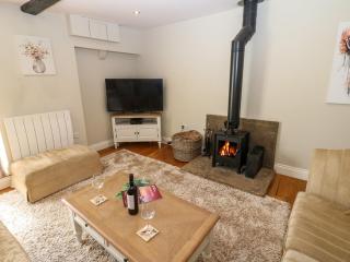White Swan Cottage - Leyburn - 8