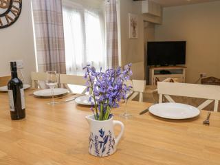 White Swan Cottage - Leyburn - 5