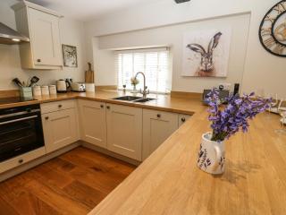 White Swan Cottage - Leyburn - 3