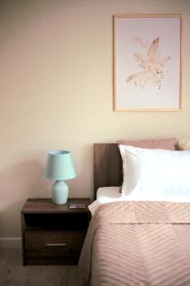 Апартаменты Алматы ТЦ Москва-Лето - 7