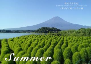 Station Villa Plaisir Mt. Fuji - Fujikawaguchiko - 9