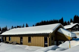 New cabin at Skeikampen, perfect for families! - Svingvoll - 2