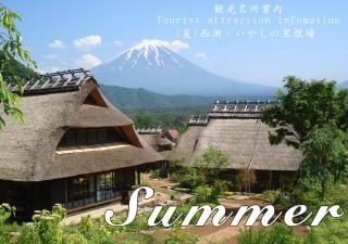 Station Villa Plaisir Mt. Fuji - Fujikawaguchiko - 7