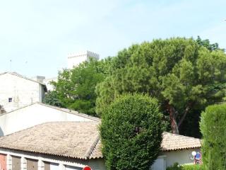 Studio climatisé proche PALAIS DES PAPES WIFI - 1