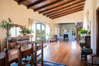 MaGea- Rustic style picturesque Cretan villa - Chania - 6