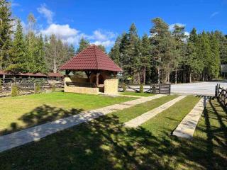 Zov Srne - Kaludjerske Bare - 1