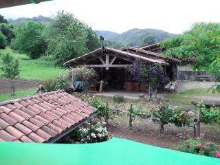 Location en Pré montagne pyrénéenne - 1