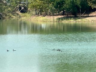 385 Lake - - 1