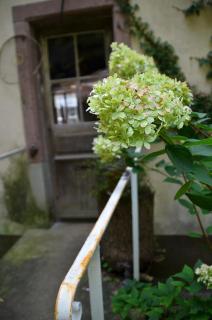 Les anciens thermes - Soultzbach-les-Bains - 9