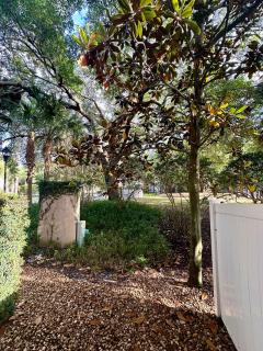 Grand Panoramic 3BR Townhouse near Disney - Kissimmee - 2