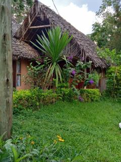 Irente Kinyonga Cottage - Lushoto - 0