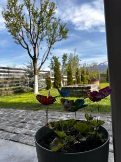 Wanderlust Cottage Avrig - Avrig - 3