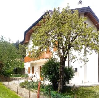 casa spiz - 5