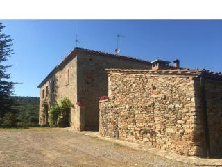 Camugnano farm - Rapolano Terme - 4