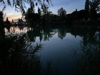 Le flamand rose - Arles - 7