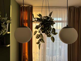 Joy City Stay Nord One N2-49 - Timişoara - 2