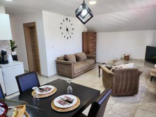 Apartman Gold LUX - Surčin - 9